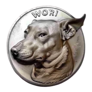 woricoin.com